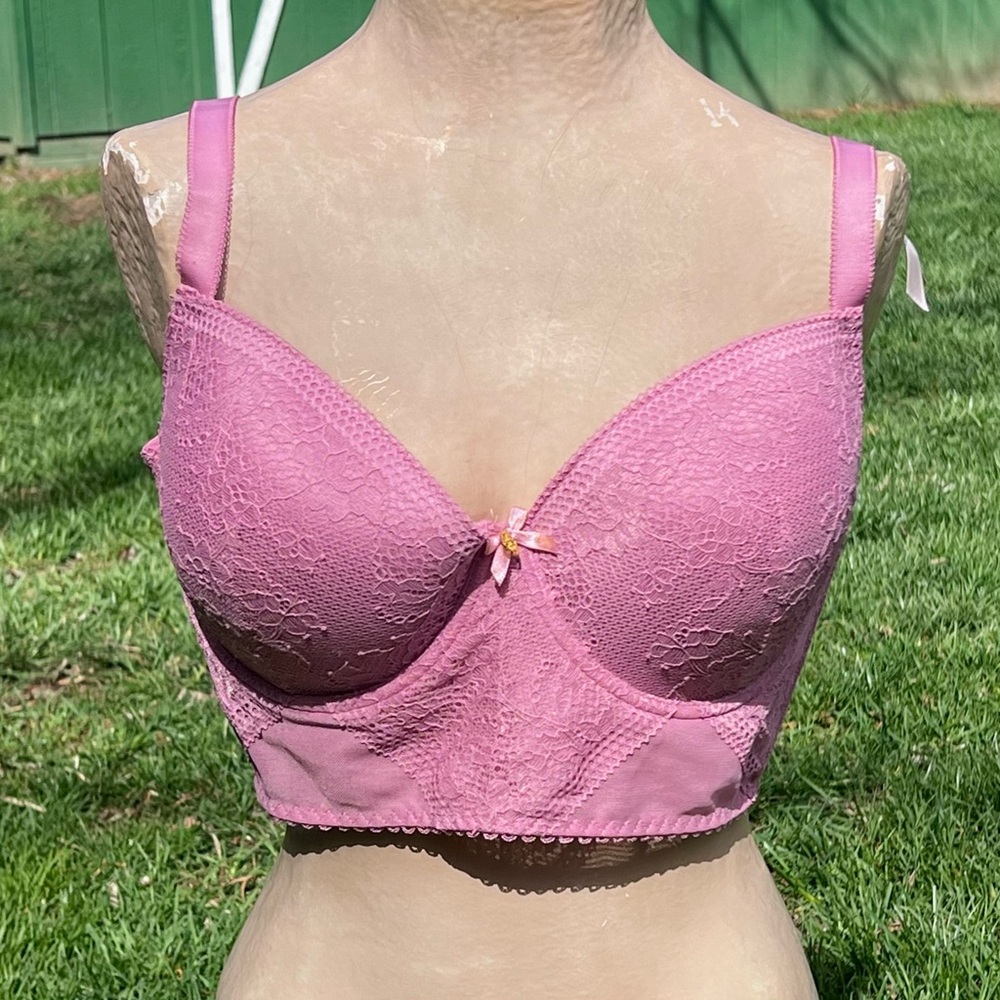 - Daisy Fuentes 40C Pink Push-Up Longline Bra! NEW!